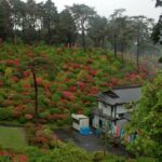 Thumbnail of post image 039
