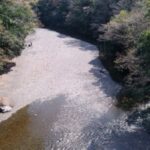 Thumbnail of related posts 133