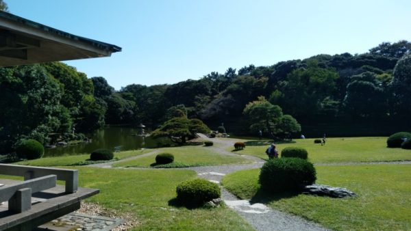 ラクに楽しく簡単に 新宿御苑 バラ 新宿御苑に行ってきました 薔薇園や温室や日本庭園 何より芝生が広くて気持ち良かったです