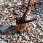 Thumbnail of related posts 071