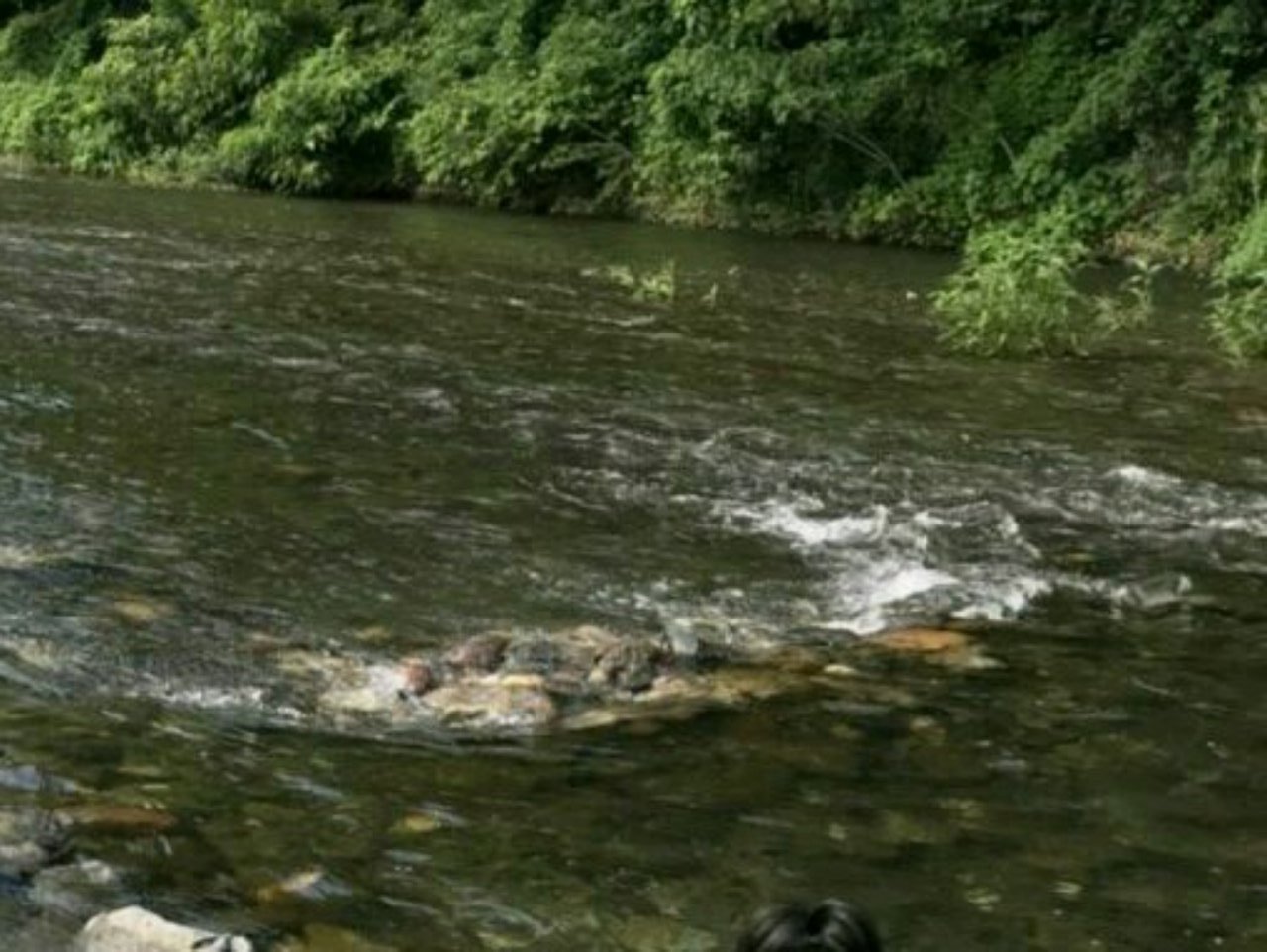 ラクに楽しく簡単に 埼玉県 巾着田 予約不要でバーベキューが出来る 埼玉県日高市にある 巾着田の河原でバーべーキューをするまで