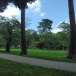 【大宮公園 チェアリング】大宮公園でチェアリングです。売店の近くでチェアリングをしたので食べ物には困らないです。 IMG_20240818_142000
