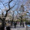 Thumbnail of related posts 076