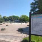 【水元公園 ピクニック】メタセコイアの森をぶらぶら、広大な広場をぶらぶら。イスとテーブルを気に入った場所に広げてランチ。のんびり過ごします。 IMG_20250429_101317