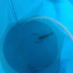 【手長エビ釣り やっと一匹】2025年の手長エビ釣りスタートです。5月の4日の日曜日に行ってきました。昼前の下げはじめです。 IMG_20250504_123133