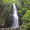 Thumbnail of related posts 116