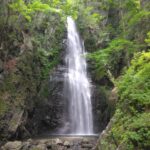 奥多摩 百尋の滝 奥多摩一泊旅行のその2です。奥多摩駅からバスに乗って川乗橋のバス停で降りて百尋の滝まで歩いて行きます。 IMG_20250607_125049