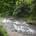 奥多摩駅前 日原川の遊歩道 奥多摩一泊旅行のその4です。氷川渓谷遊歩道の日原川の遊歩道をぶらぶら歩いて一周します。 IMG_20250608_095055