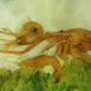 Thumbnail of related posts 079