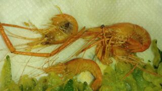 Thumbnail of post image 129