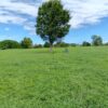 Thumbnail of related posts 137