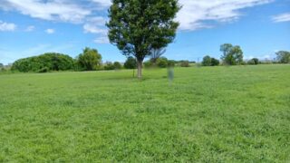 Thumbnail of post image 162