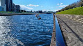 Thumbnail of post image 080