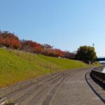 【新河岸川 ハゼ釣り】2025年2回目 釣果2匹!でも紅葉と「R-CAFE」「すみた」で大満足の秋 251115100518268