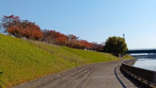 Thumbnail of post image 126