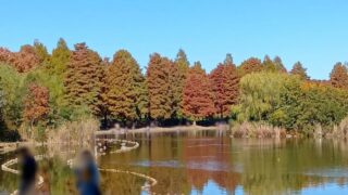 Thumbnail of post image 096