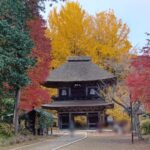 🍁【武蔵五日市 紅葉】紅葉の絶景と東京駅の絶品モーニング!武蔵五日市「広徳寺」へ行く旅 251123112253374
