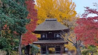 Thumbnail of post image 057