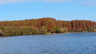 Thumbnail of post image 041