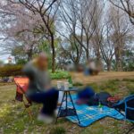 飛鳥山公園の花見は「椅子・テーブル・スーパーの寿司」で、手軽にスマートに楽しむ。 260322115740903