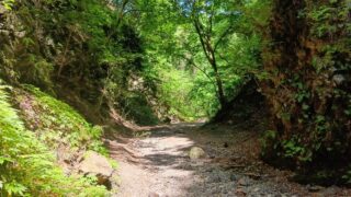 Thumbnail of post image 016
